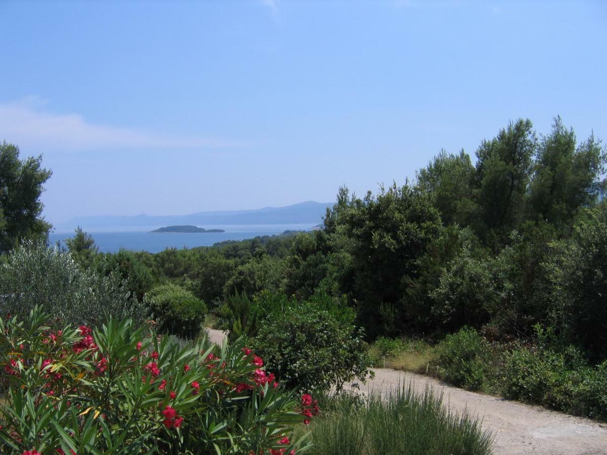 Apartamento Emma